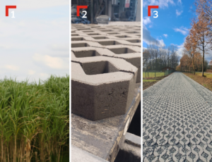 Olifantsgras in beton