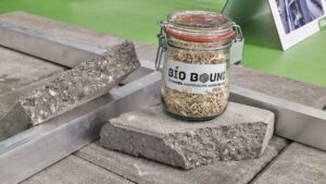 Mischanthus Bio Bound