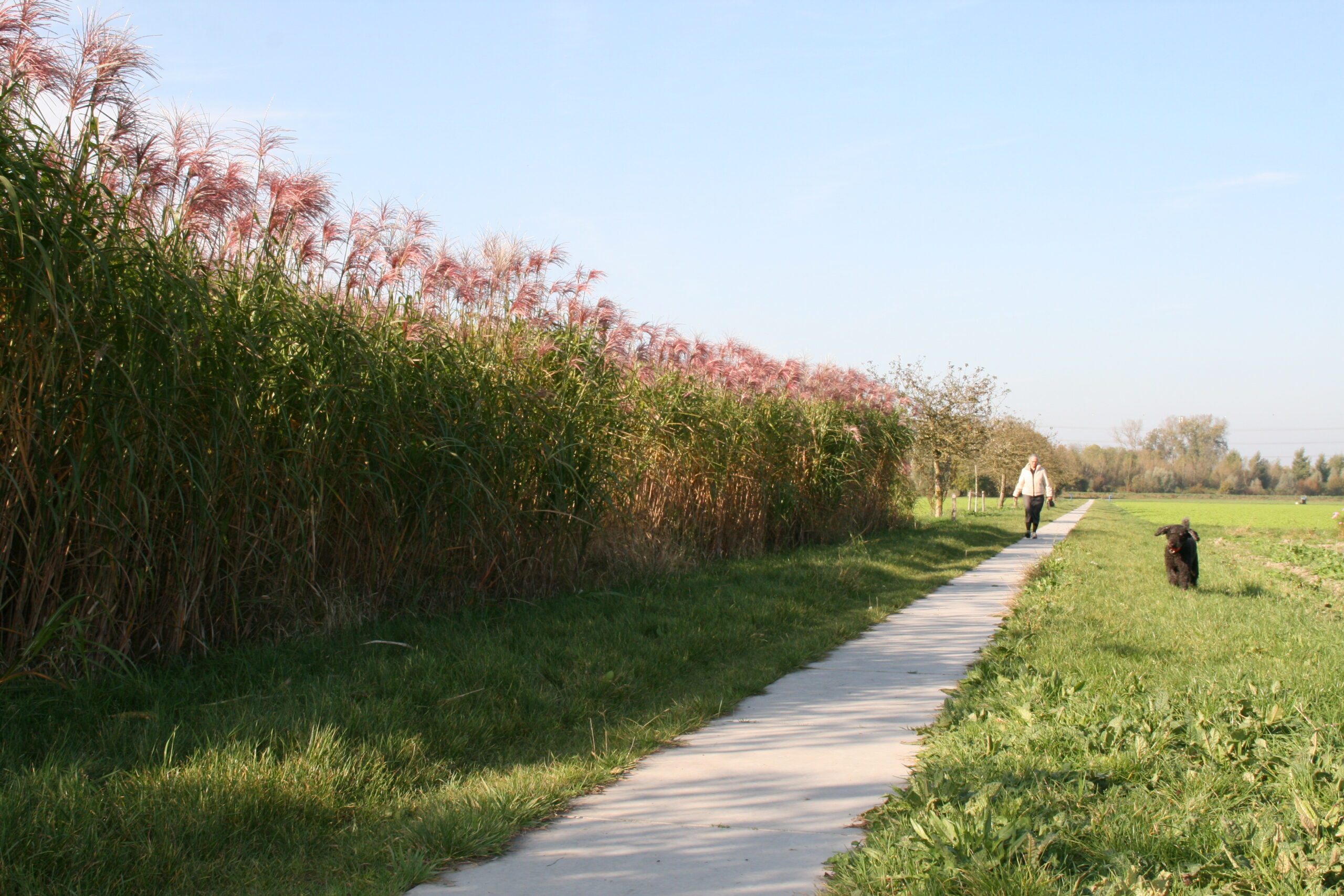 Spaarnwoude - Plesmanhoek