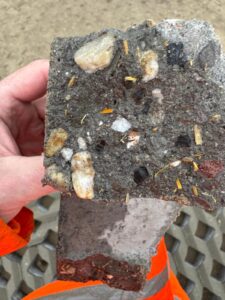 Waarom gaat miscanthus in miscanthusbeton niet rotten