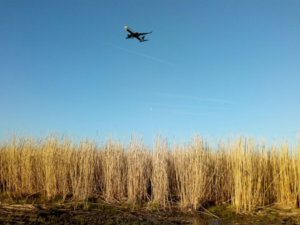 Bio Bound circulaire, biobased miscanthus