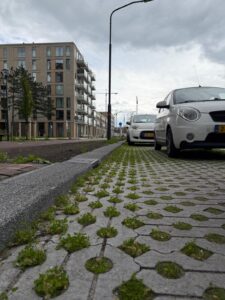 Circulaire, biobased grasbetontegels voor de Europaweg in Haarlem duurzame stad
