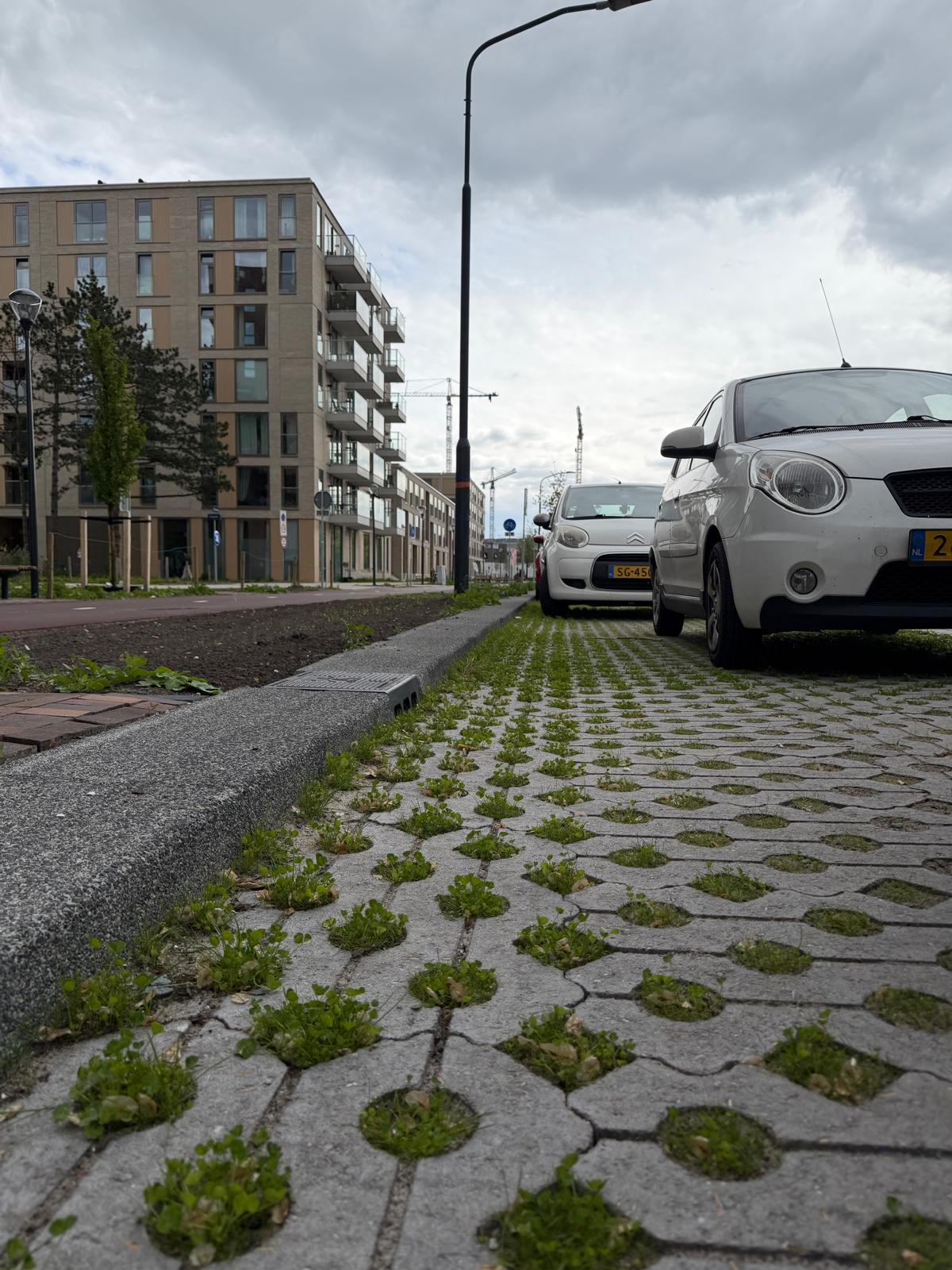 Circulaire, biobased grasbetontegels voor de Europaweg in Haarlem duurzame stad