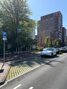 Circulaire, biobased, duurzaam grasbetontegels voor de Europaweg in Haarlem